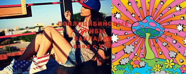 сатива Медвежьегорск