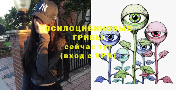 сатива Медвежьегорск