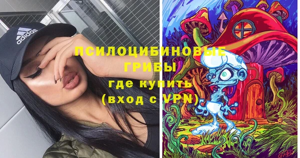 бошки Медногорск