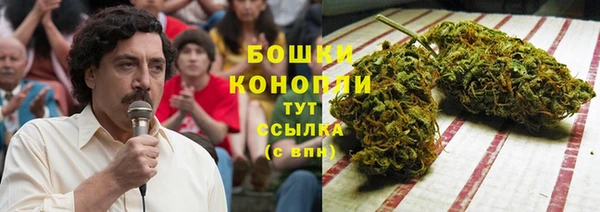 стафф Мегион