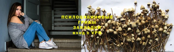 бошки Медногорск