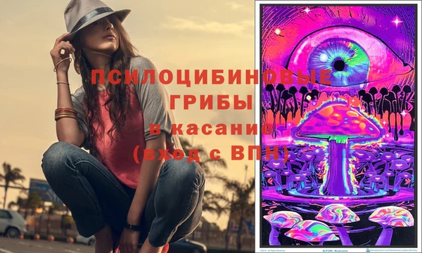 бошки Медногорск