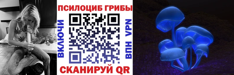 Псилоцибиновые грибы Psilocybe  Тверь 