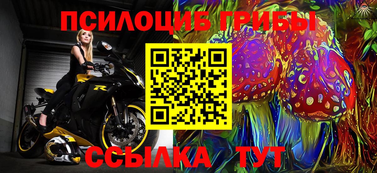 Тверь  Галлюциногенные грибы Magic Shrooms  Вход с VPN 